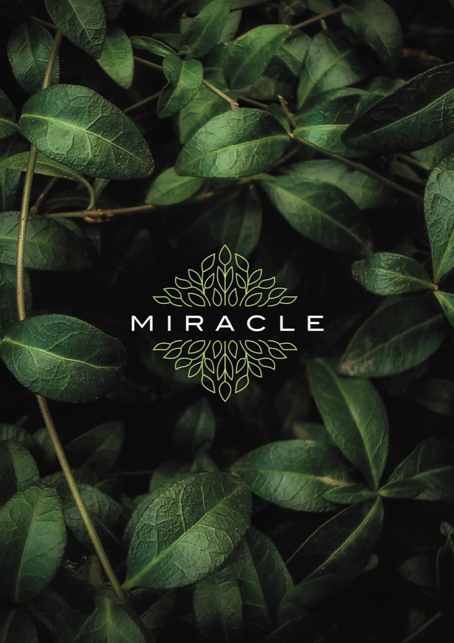 MIRACLE